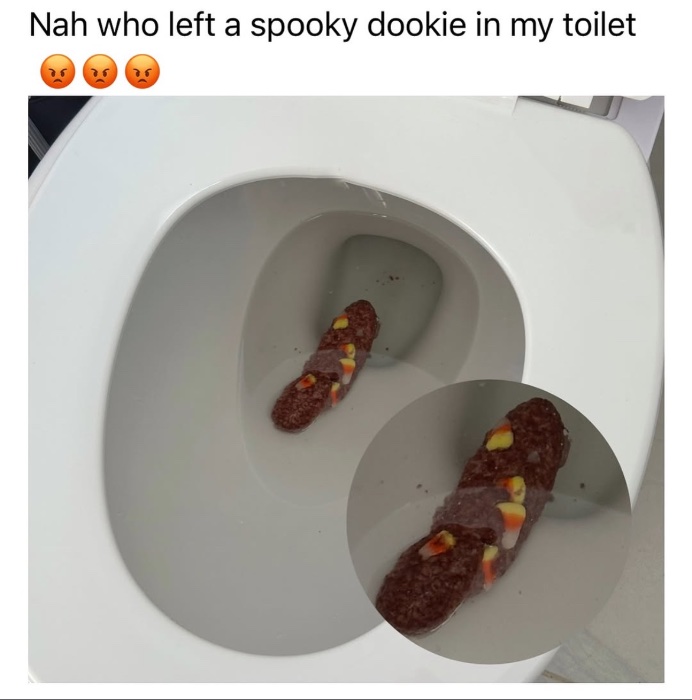 IMG_3317.jpeg
