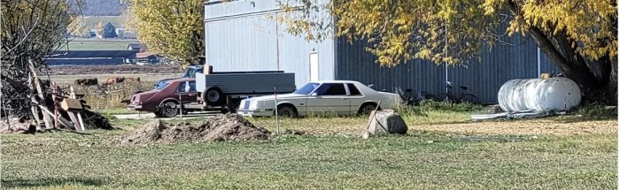 IMG_7200.jpeg