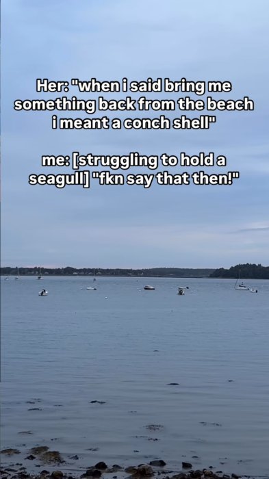 IMG_9726.jpeg