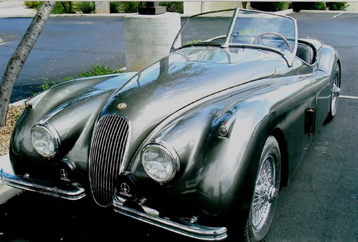 Jaguar.jpg