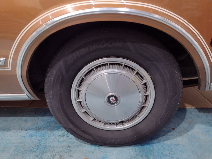 left wheel molding.jpg