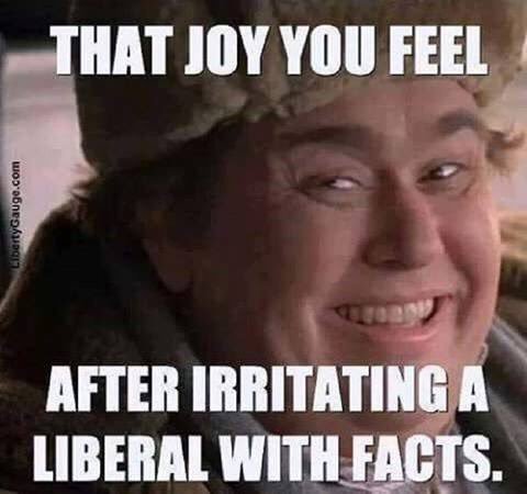 lib1.jpg