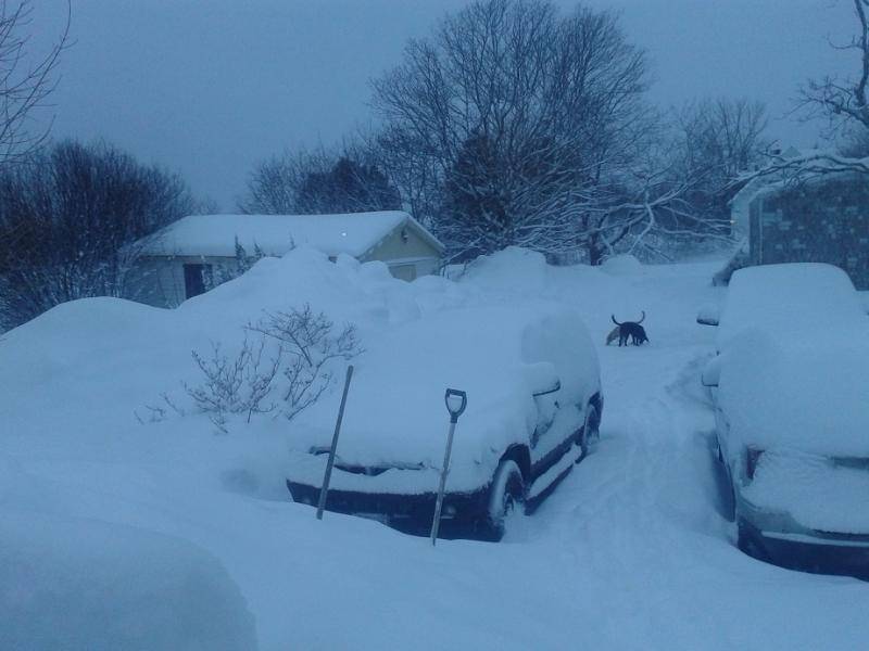 march18a.jpg