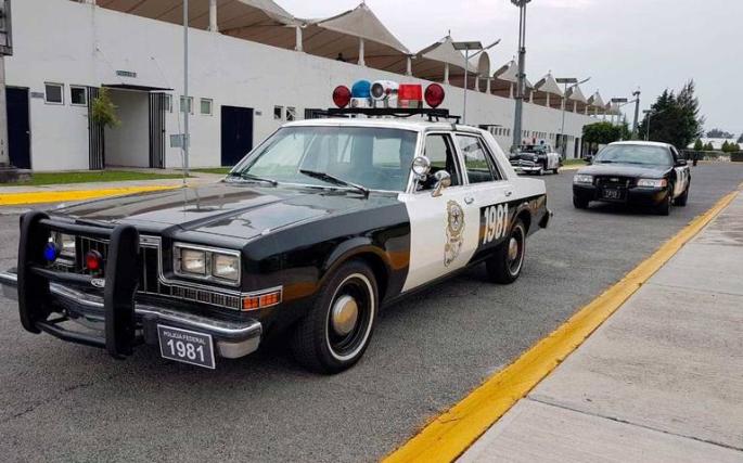 mexdartpolicia.jpg