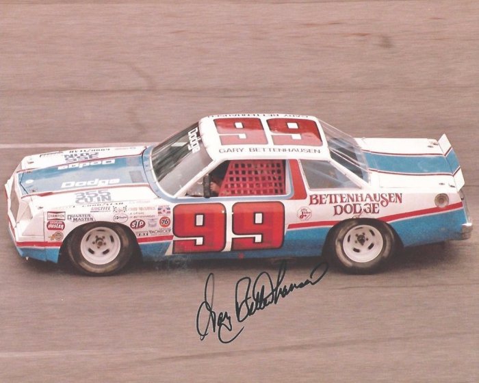 nascardip2.jpg