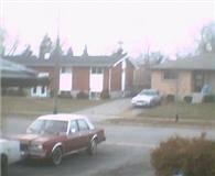 no snow.jpg