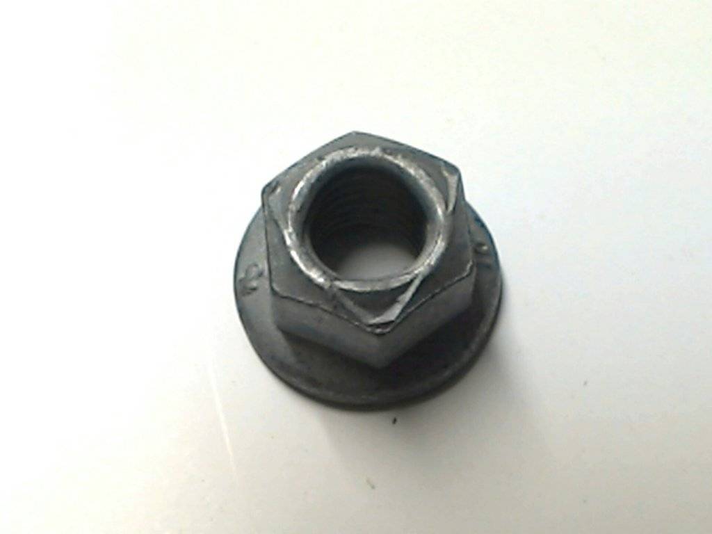 Nut 118614.JPG