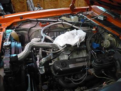 P1010614_opt.jpg