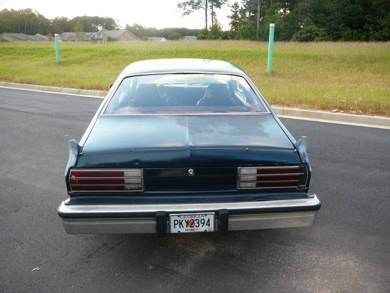 P1150552.jpg