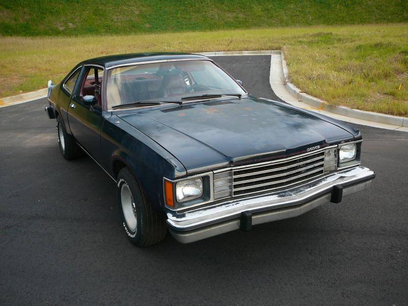 P1150556.jpg
