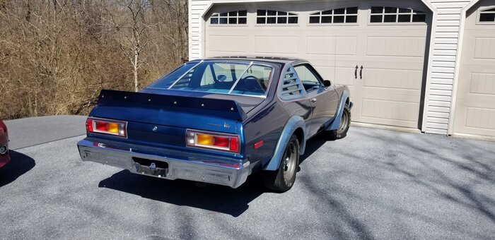 Petty Rear.jpg