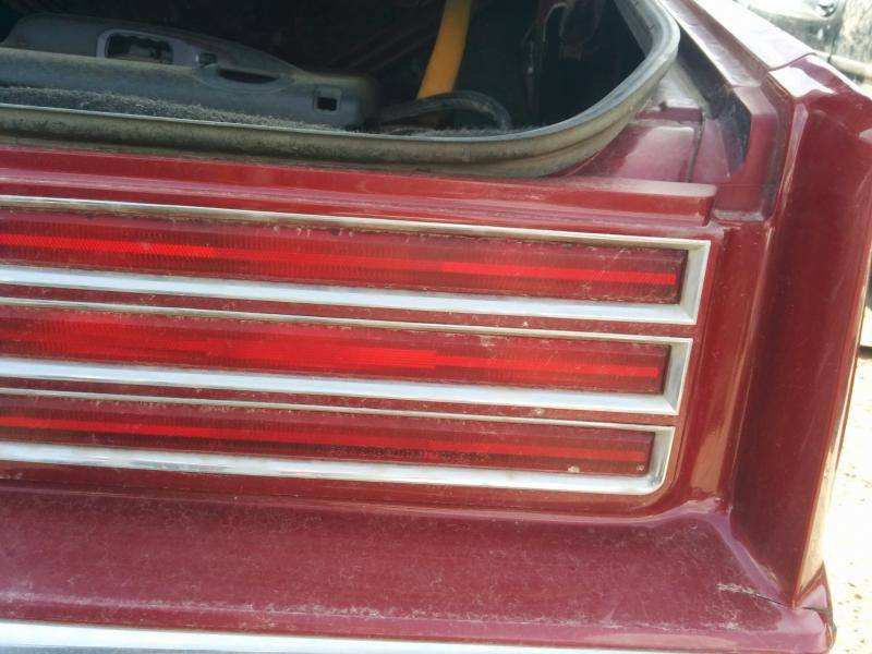 photo1.jpg