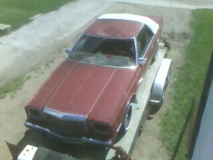 photo2.jpg