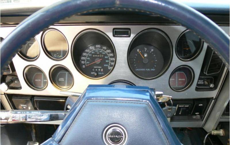 pic-13.jpg