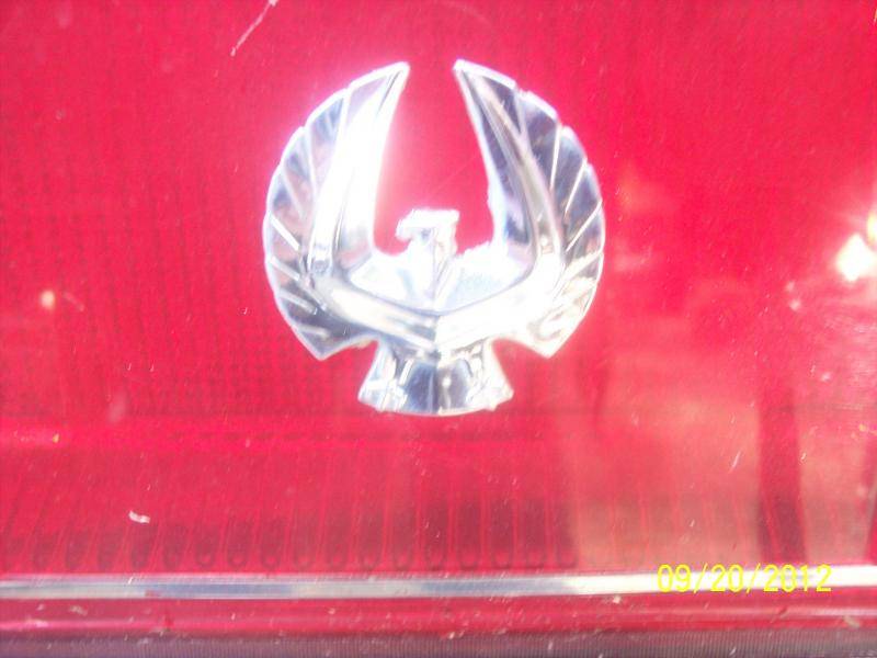 Picture 043.jpg