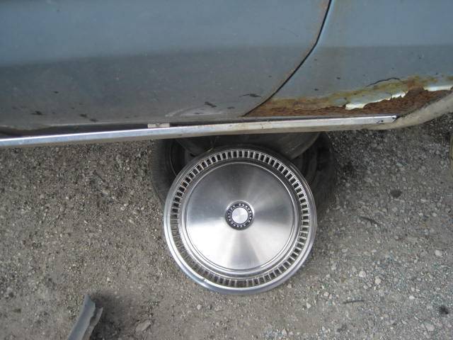 Picture 1533.jpg