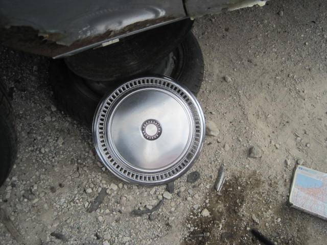 Picture 1534.jpg