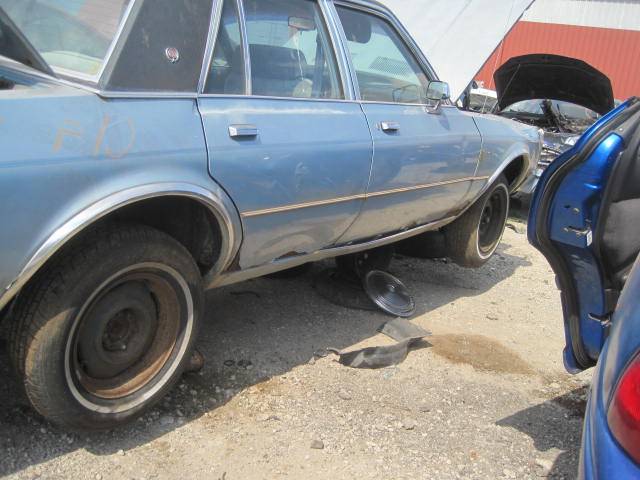 Picture 1535.jpg