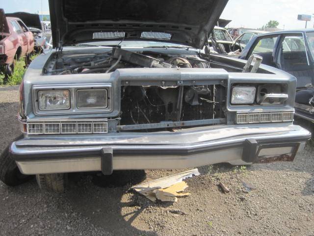 Picture 1538.jpg