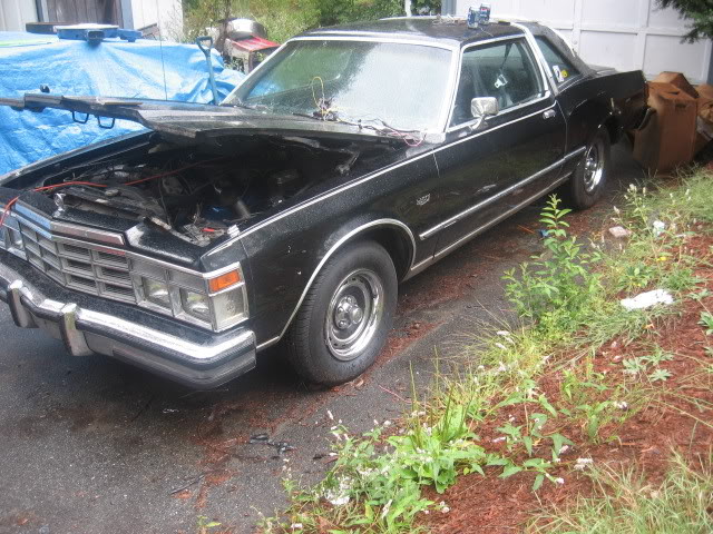 Picture001.jpg