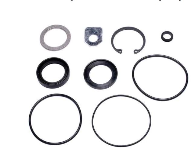 pitman shaft seal kit oreiley.JPG