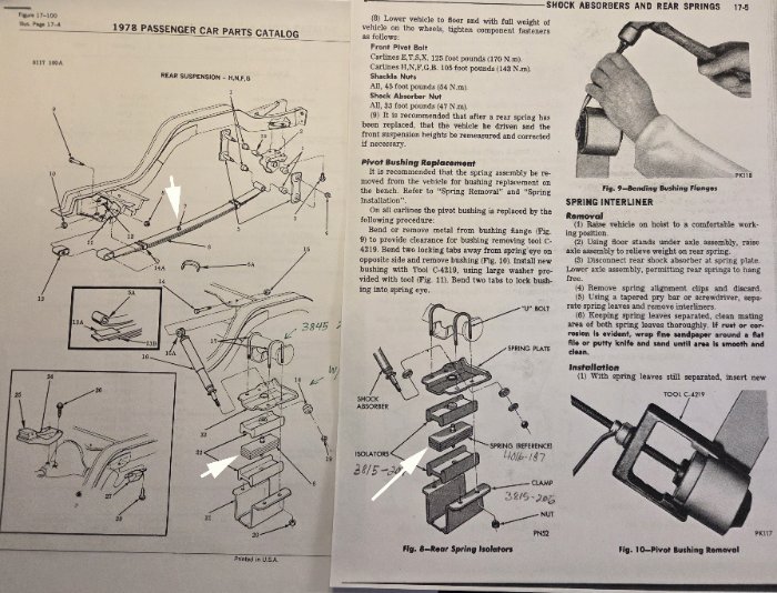 Pointing to springs .jpg