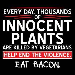 PS_0279W_INNOCENT_PLANTS.jpg