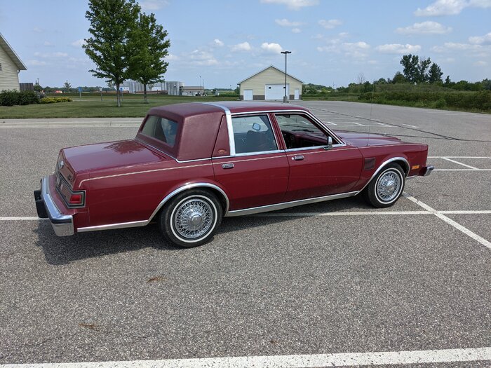 PXL_20210718_195901755.jpg