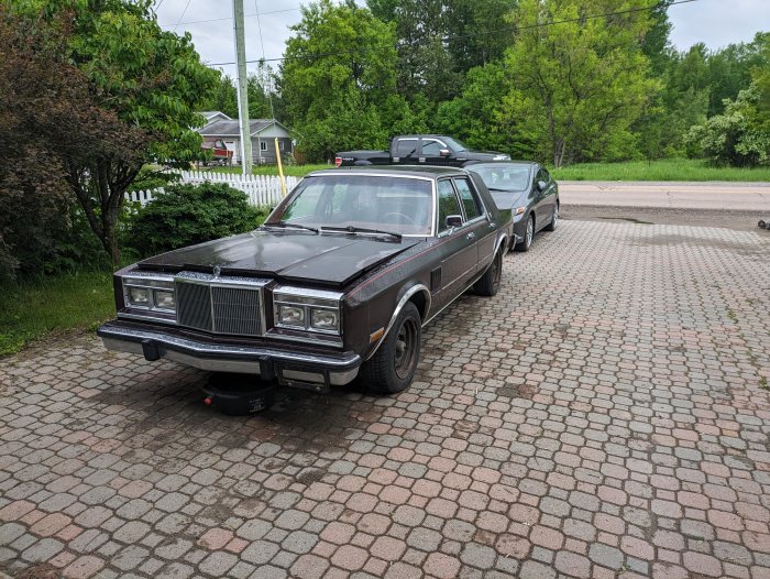 PXL_20240527_141243175.jpg