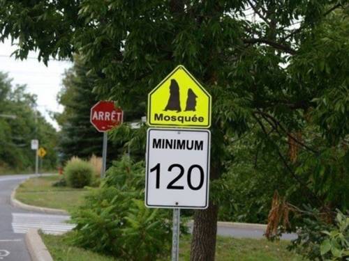 random125.jpg