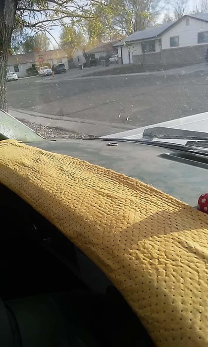 received_2320746754861236.jpeg