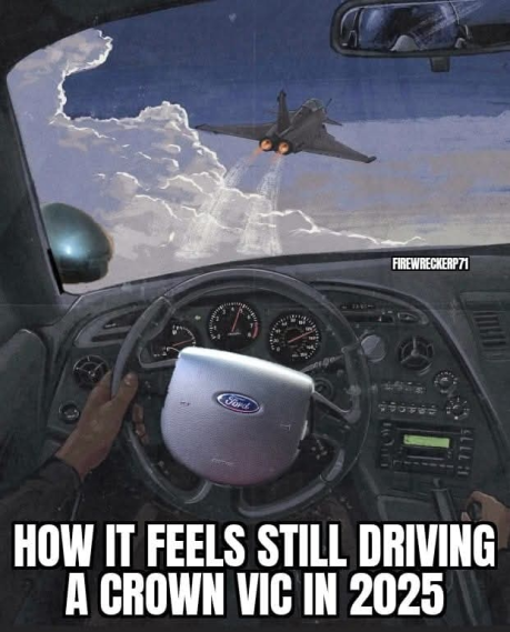 s-l1600 (2).png