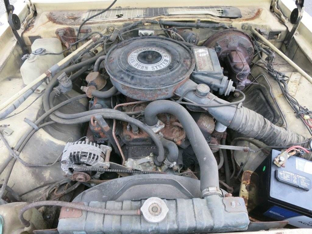 s-l1600.jpg
