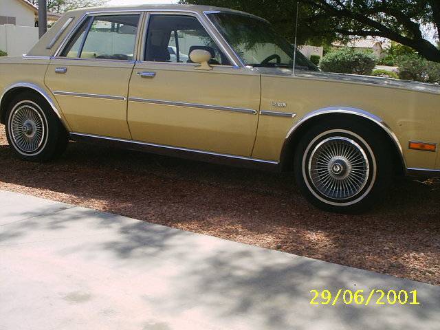 S2010001.JPG