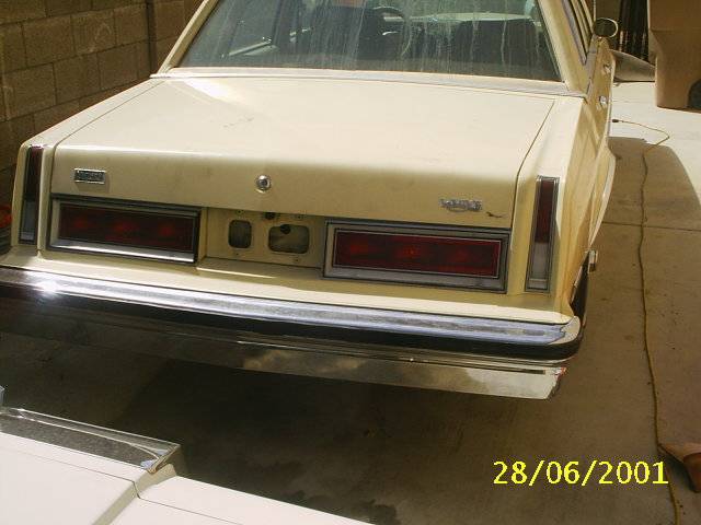 S2010001.JPG