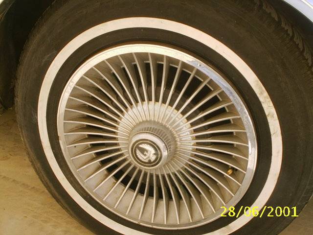 S2010005.JPG