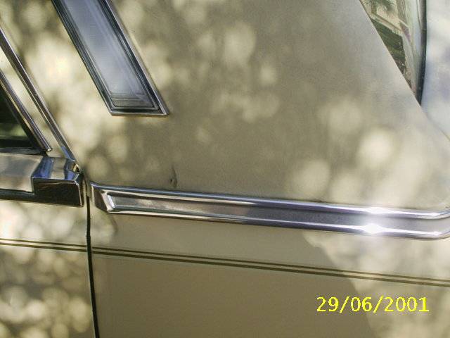 S2010005.JPG