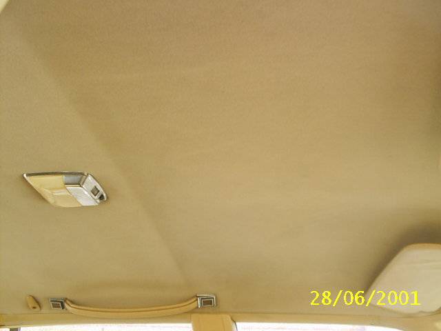 S2010008.JPG