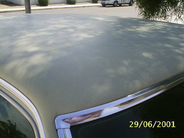 S2010008.JPG