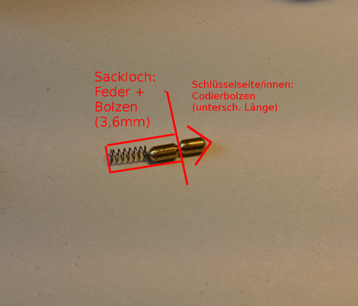 s6d.png