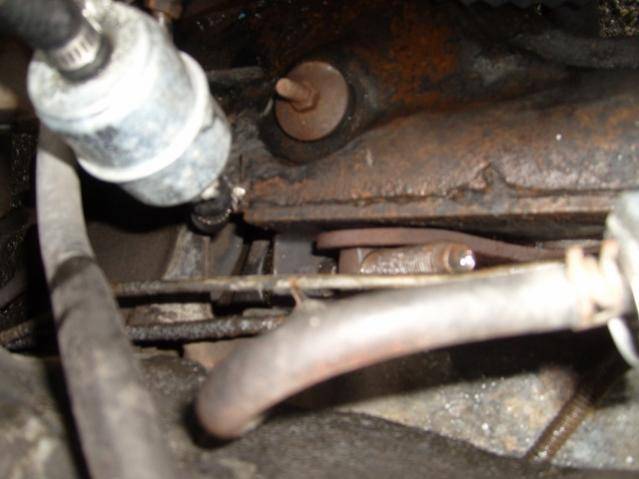 S7301215 (640x480).jpg