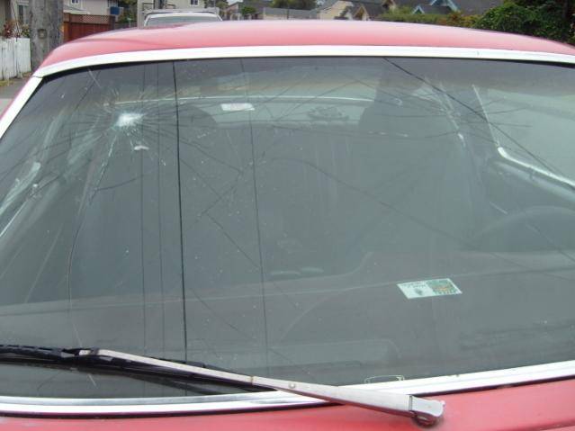 S7301331 (640x480).jpg