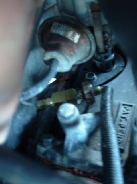 S7301381 (640x480).jpg
