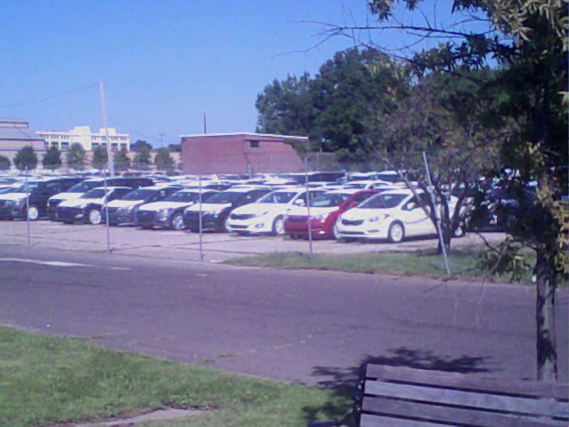 sea of hundyas.jpg
