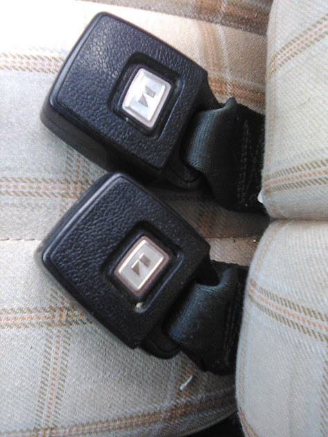 seatbelts.jpg