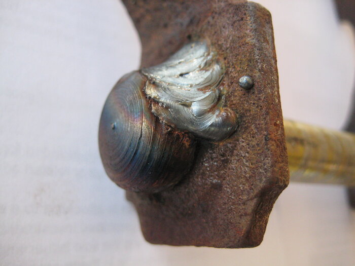 Shackle - 3.JPG