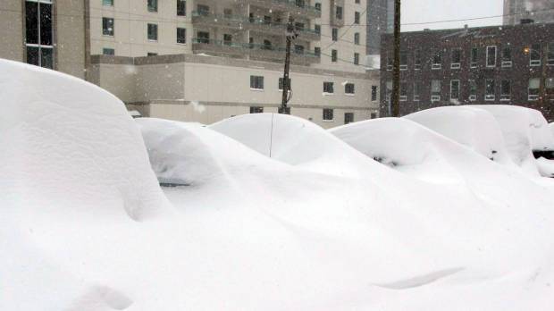 snow-fall-2010.jpg