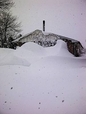 snow-terry-green.jpg