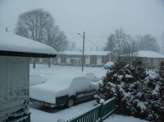 snow12216.jpg