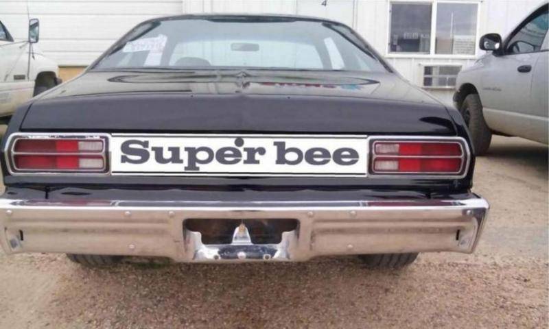 Super Bee tail pan_1437704300929.jpg